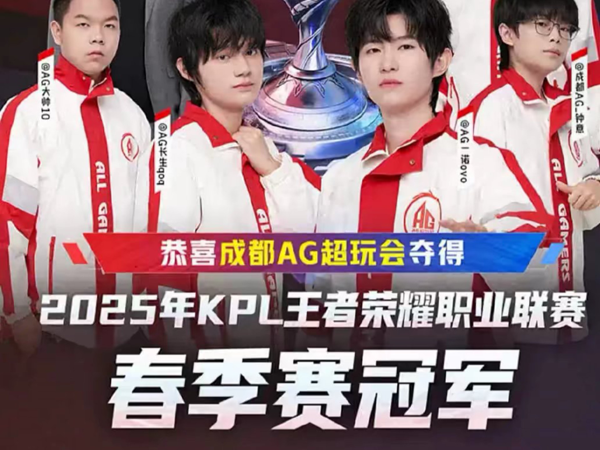 功地结合了 功地结合了