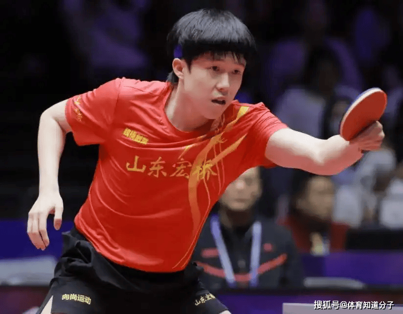 后应声入网 后应声入网