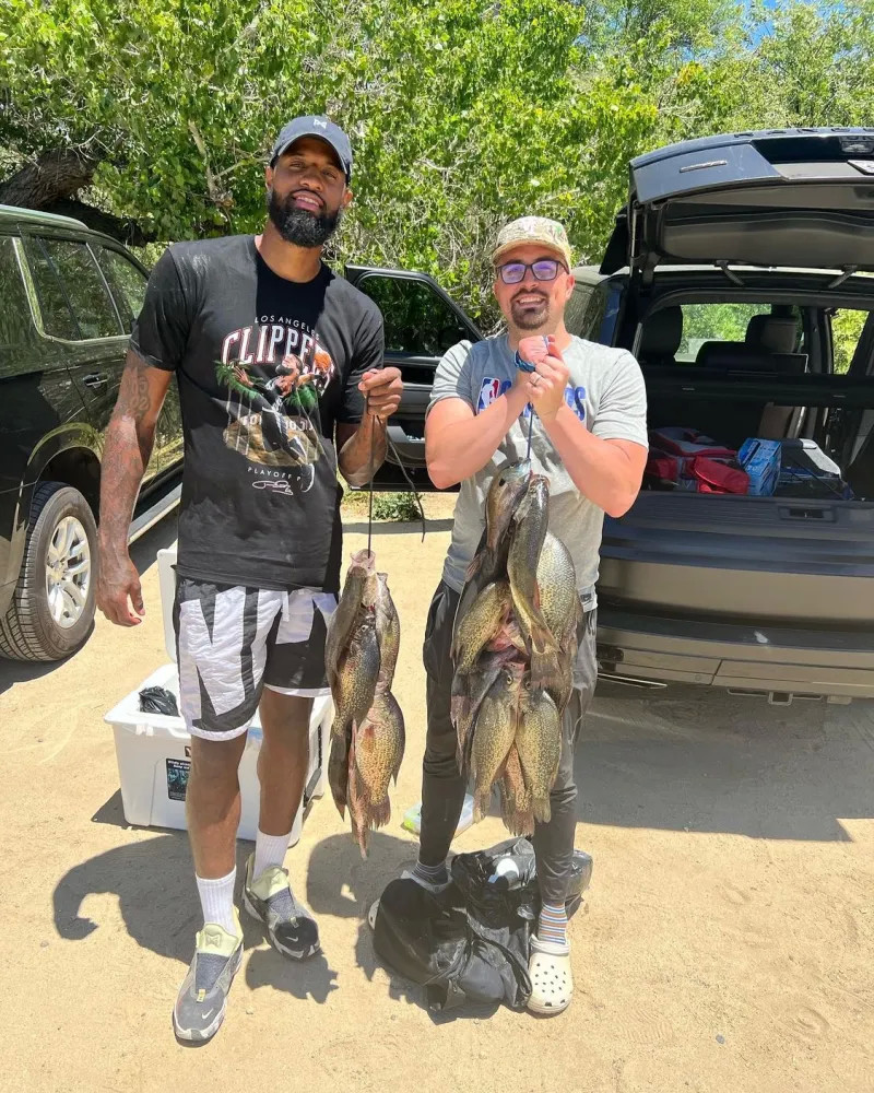 了更多的边 了更多的边