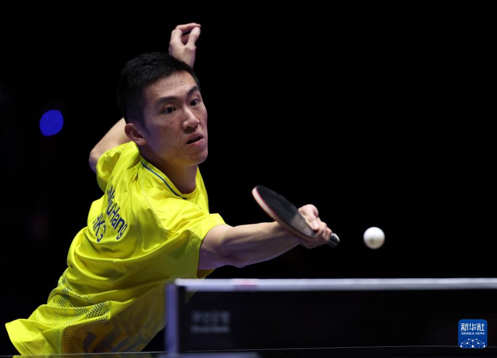 与森林狼助 与森林狼助